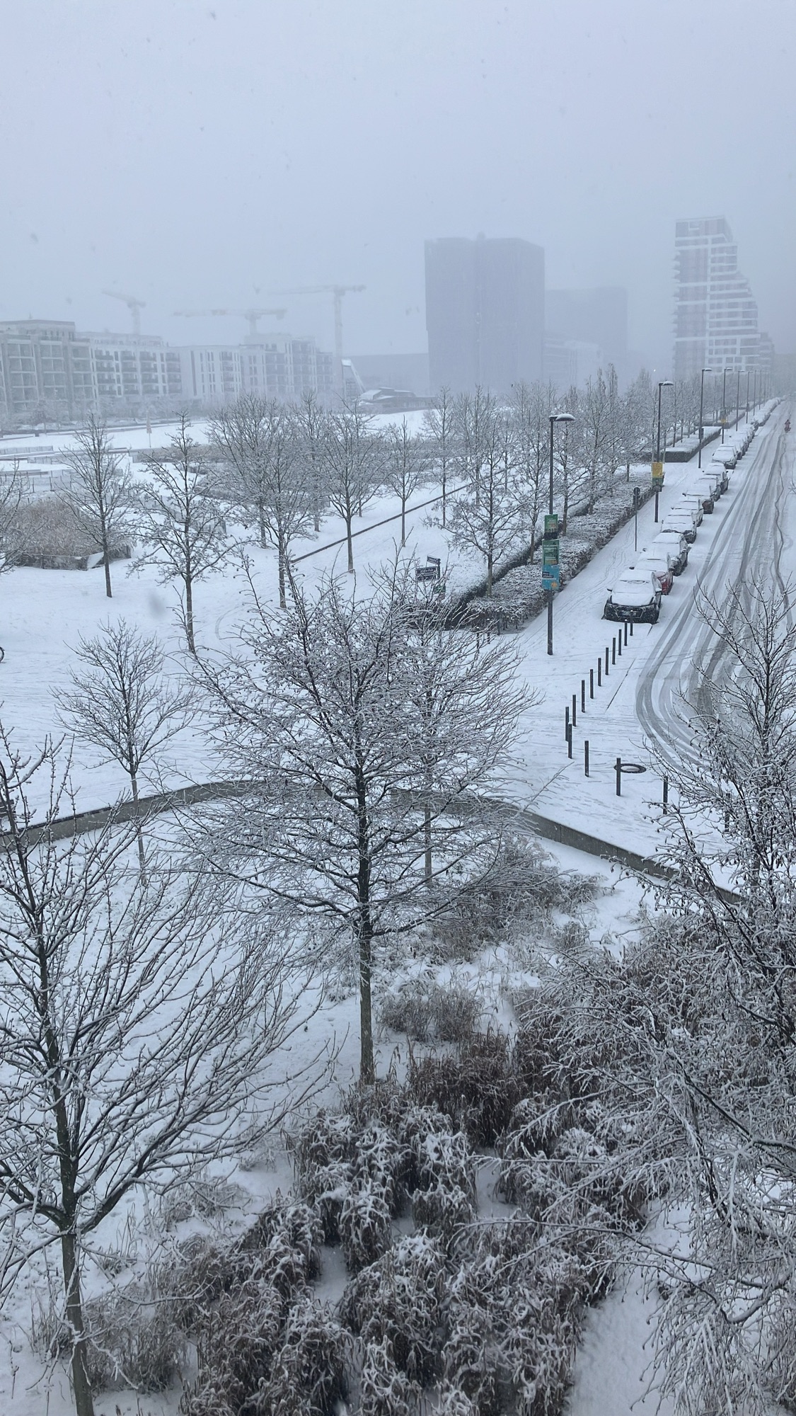 Winter