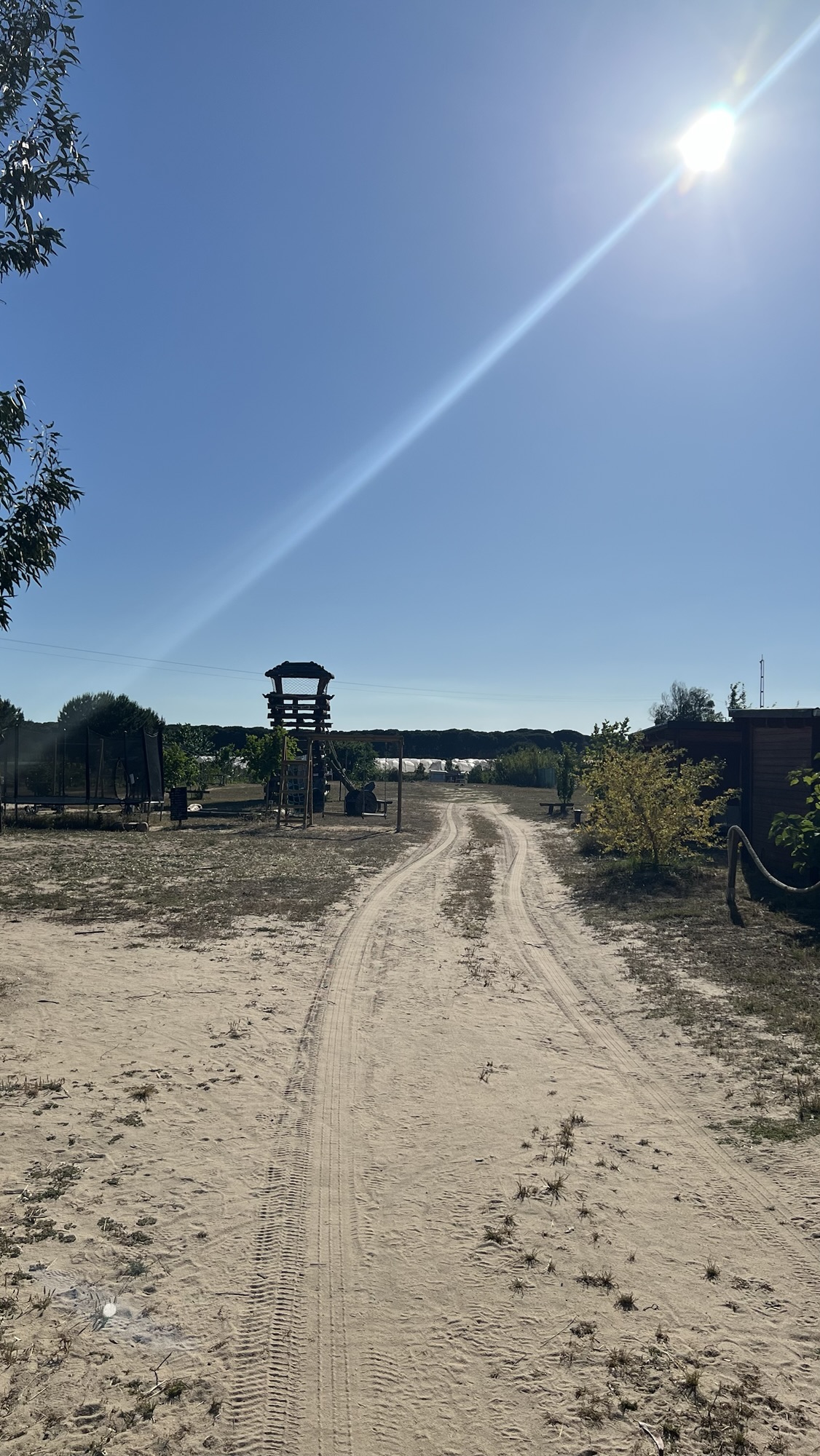 Global Tribe Ecovillage