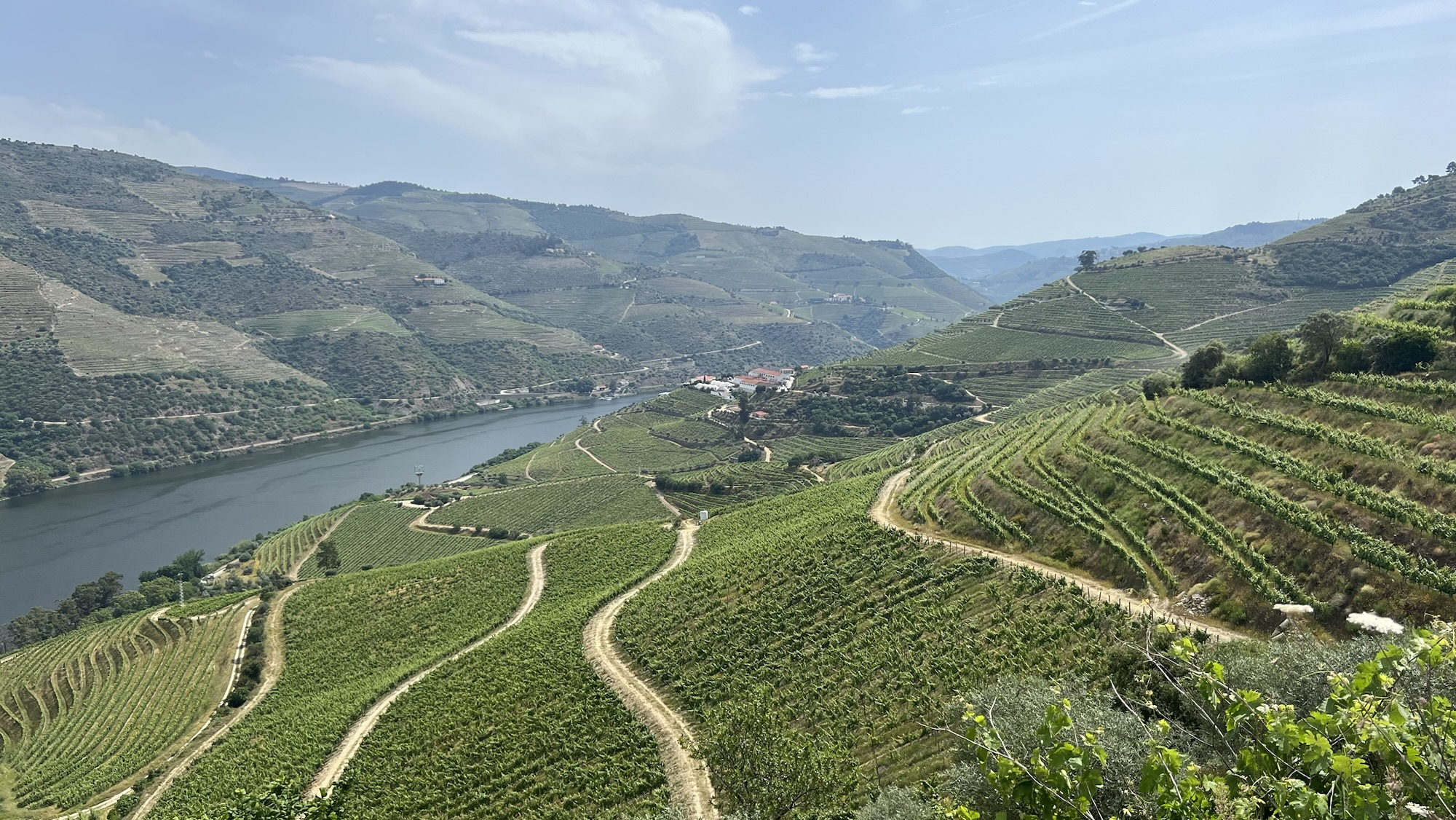 Weinprobe im Douro-Tal