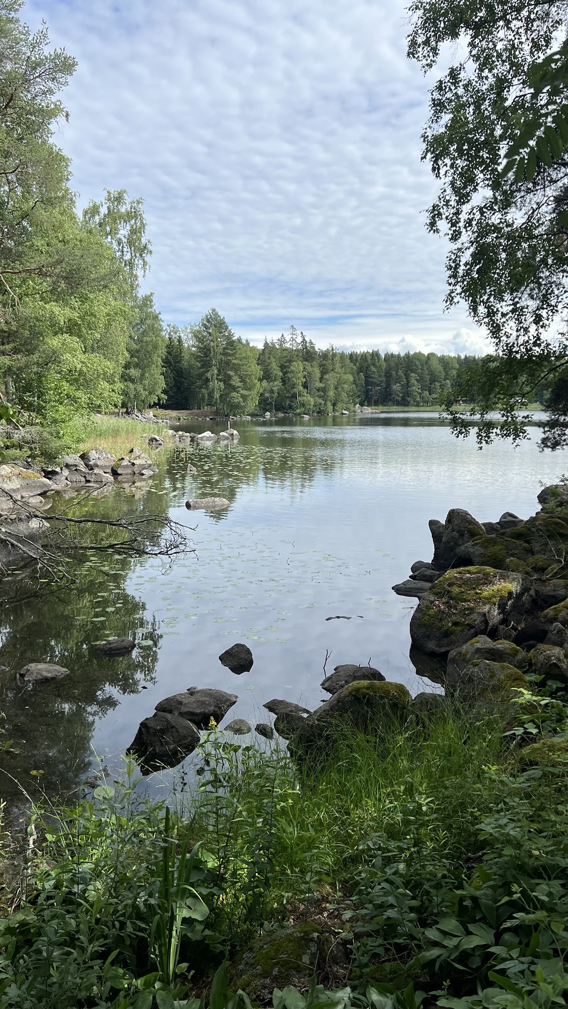 Am Vanajavesi