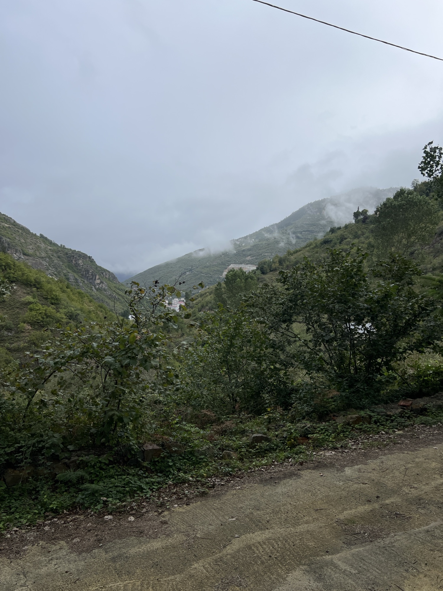 Regen und 12°